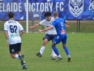 Nhận định Adelaide Cobras vs Salisbury United, 16h30 ngày 9/7