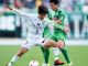 Nhận định Shonan Bellmare vs Tokyo Verdy, 17h00 ngày 10/7