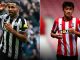 Nhận định Newcastle vs Southampton, 21h00 ngày 17/8